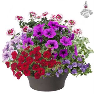 Afbeelding van HP30 XXL Mix 04